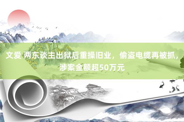 文爱 两东谈主出狱后重操旧业，偷盗电缆再被抓，涉案金额超50万元