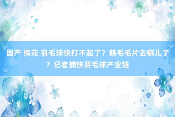 国产 探花 羽毛球快打不起了？鹅毛毛片去哪儿了？记者捕快羽毛球产业链